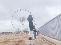 -奉贤海滩