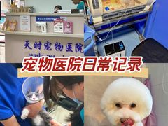 -天时宠物医院24小时疑难病例会诊中心(顾乡大街总院)