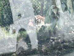 -栾川竹海野生动物园