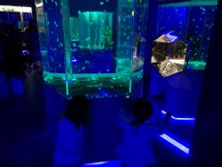 点击看大图 -酷嗒动物文化乐园(cutezoo西溪乐天城店)