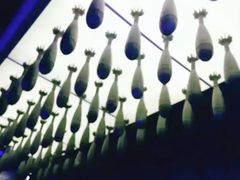-侵华日军南京大屠杀遇难同胞纪念馆