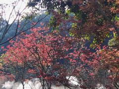 -广州市帽峰山景区