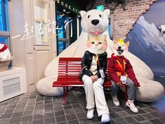 -济州岛泰迪熊博物馆