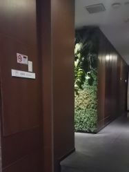 -禾颜社·精致美容