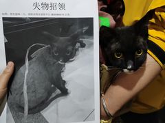 -半岛宠物医院24小时(科华中路店)