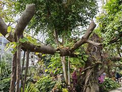 -北京植物园-展览温室