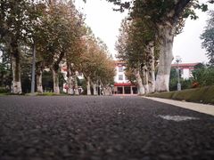 -四川大学(望江校区)