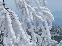 -东白山