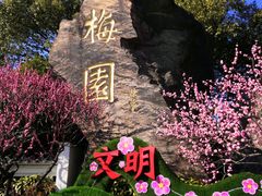 -无锡梅园公园