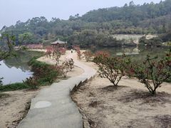 -南国桃园旅游度假区