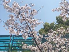 -徐家汇公园