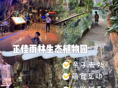 -正佳雨林生态植物园