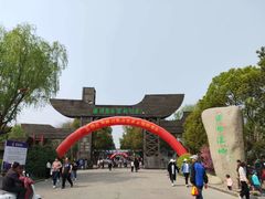 -溱湖国家湿地公园