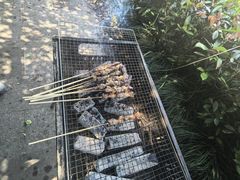-菊园百果园