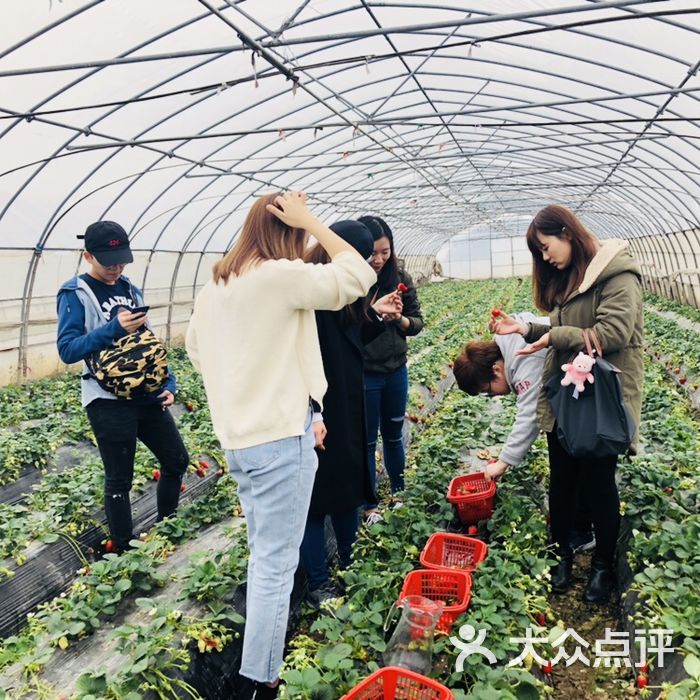 探寻药食两用蔬菜的秘密：打开健康生活新窗口