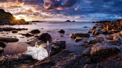 -薇喜影像艺术中心 ART PHOTO