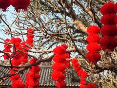 -国恩寺