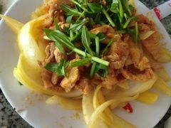 -珊瑚岛