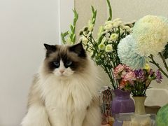 -格兰西点餐厅(文化街店)