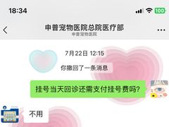 -申普宠物医院·心脏介入·心血管微创(总院)