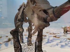 -国家自然博物馆