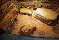 -Zoolung Zoolung动物主题公园(海信广场店)