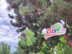 -西安秦岭野生动物园
