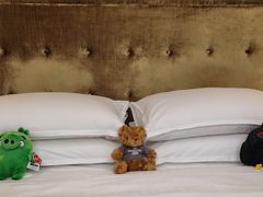 -济南喜来登酒店