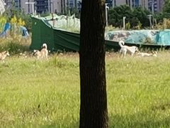 -南通大学-食堂