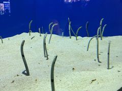 -上海海洋水族馆