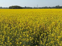 -中国天府农业博览园