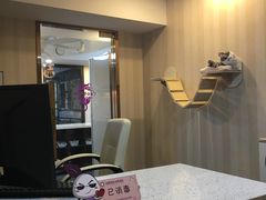 -宠爱国际动物医院·消化内科·心肾内科·ISFM猫友好(望京店)