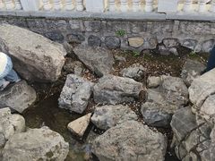 -裕华世纪公园