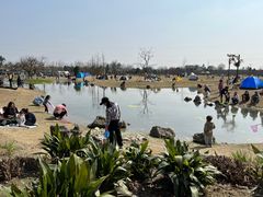 -夏河溪乡野公园