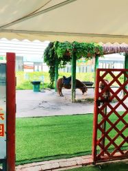 -萌宠亲子动物乐园(槐房万达店)