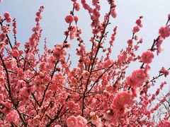 -白塘生态植物园
