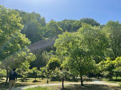 -素山寺森林公园