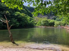 -少华山国家森林公园