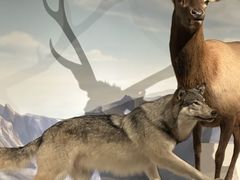 -陕西自然博物馆