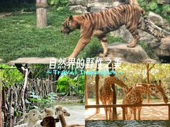 -深圳野生动物园