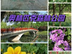 -北京奥林匹克公园