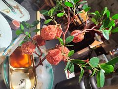 -长安大牌档之龙头酒肆(荣民龙首广场店)