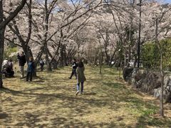 -富士山吉田線五合目
