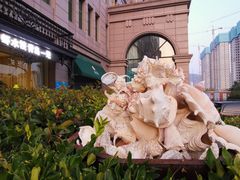 门面-开海·红岛海鲜虾水饺(石老人店)