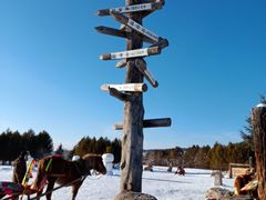-北极村旅游风景区