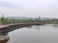 -枫香湖儿童公园