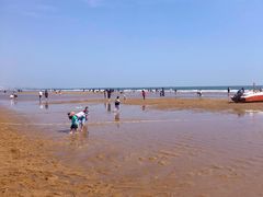 -前王院•巧克力海鲜市集餐厅(万平口店)