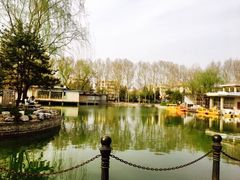 -黄村公园