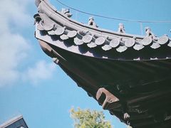 -灵谷景区