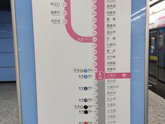 -大龙山(地铁站)